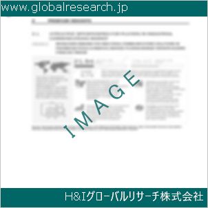グローバルリサーチ調査資料のイメージ